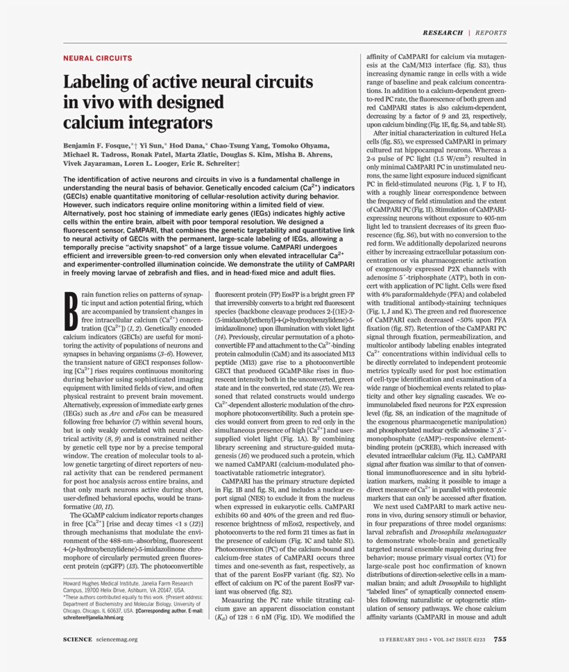 Ferderal Minimum Wage Poster, transparent png