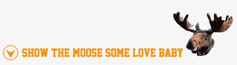 Love Da Moose - Vamoose! (pocket Money Puffin), transparent png