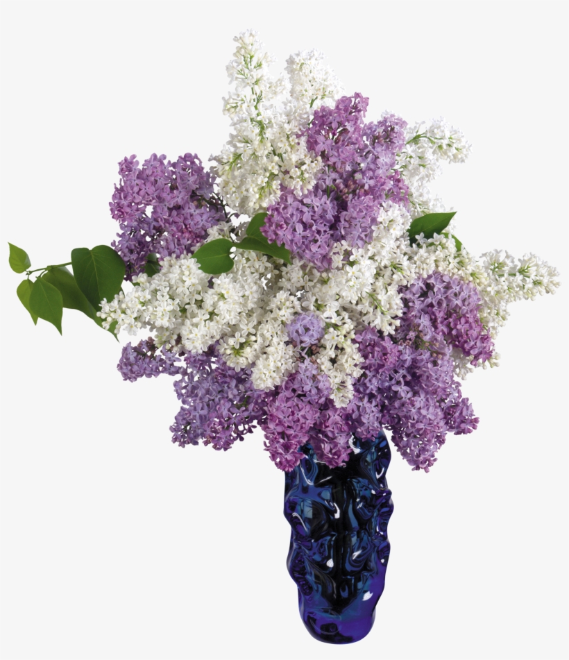 White And Purple Lilac Bouquet, transparent png