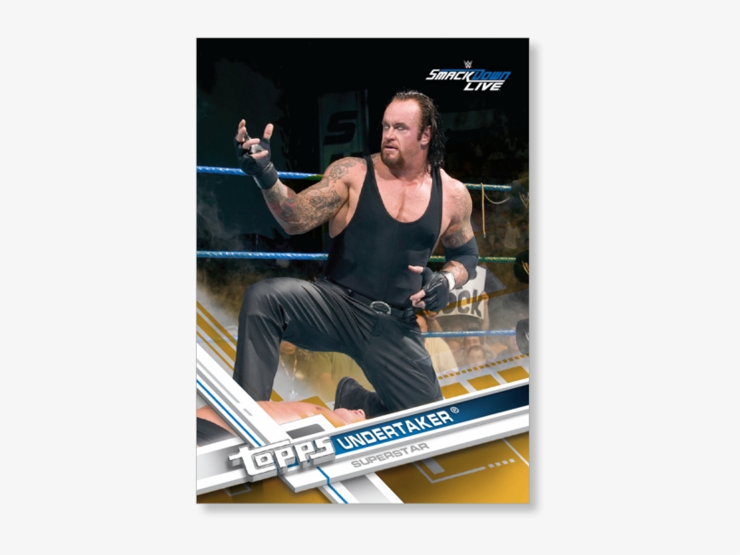 Undertaker - 100 Random Wwe Trading Card Lot Featuring A Huge Variety, transparent png
