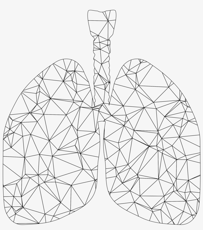 This Free Icons Png Design Of Low Poly Wireframe Lungs, transparent png