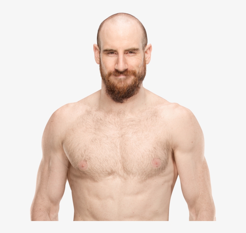 Aiden English New Render - Rusev And Aiden English Png, transparent png
