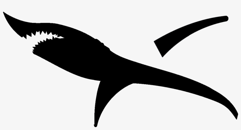 Upload The Png Images Into The Cricut Design Space, transparent png