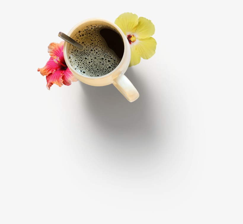 Christopher And Aniko Somogyi - Coffee Cup, transparent png