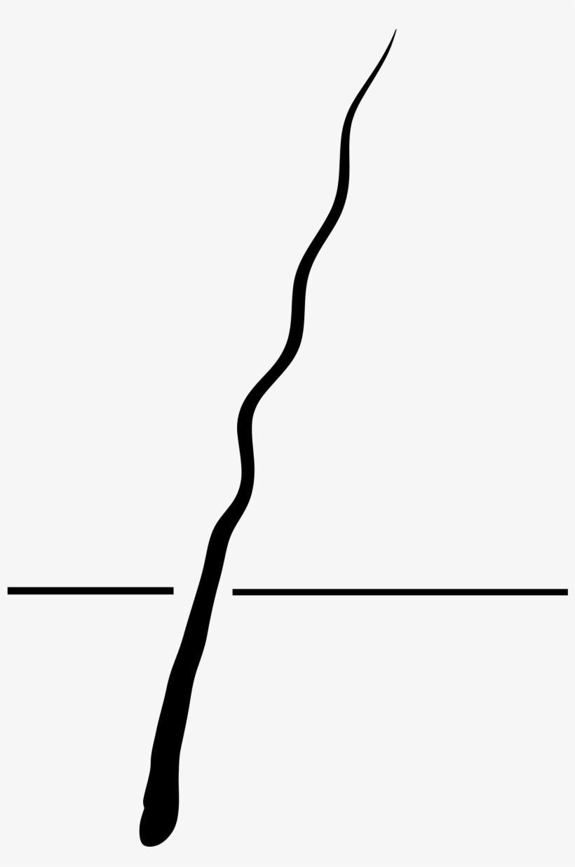 Open - Illustration, transparent png