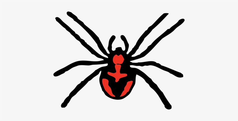 Spider, Creepy, Arachnid, Fear, Horror - Spider Clipart, transparent png