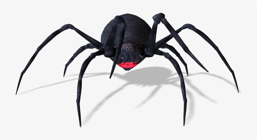 Spiders - Black Widow, transparent png