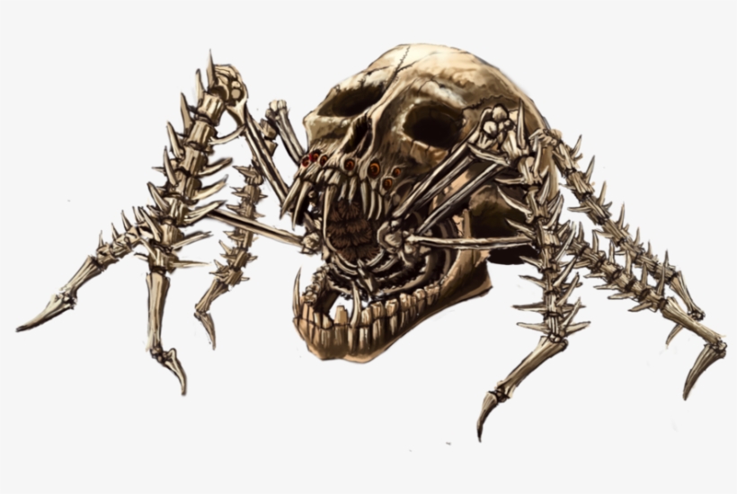 Skull Spider By Chaotickite On Deviantart - Spider In A Skull, transparent png