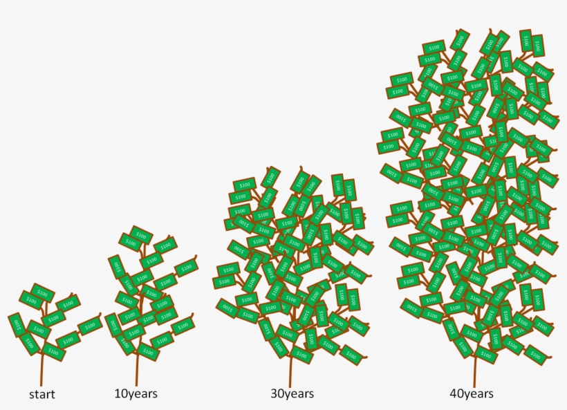Money Tree - Money Tree Growth Rate, transparent png