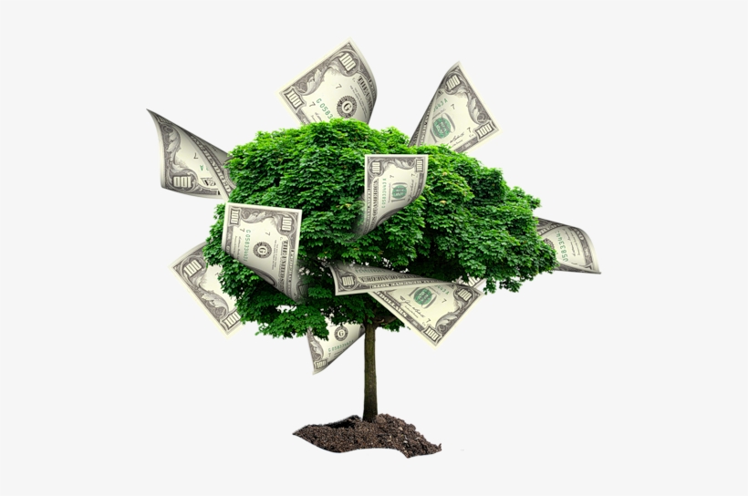Money Trees - Saral Vastu Cg Parivar, transparent png