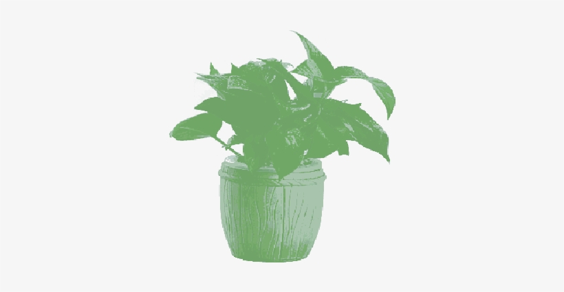 Mb Image/png - Stock.xchng, transparent png