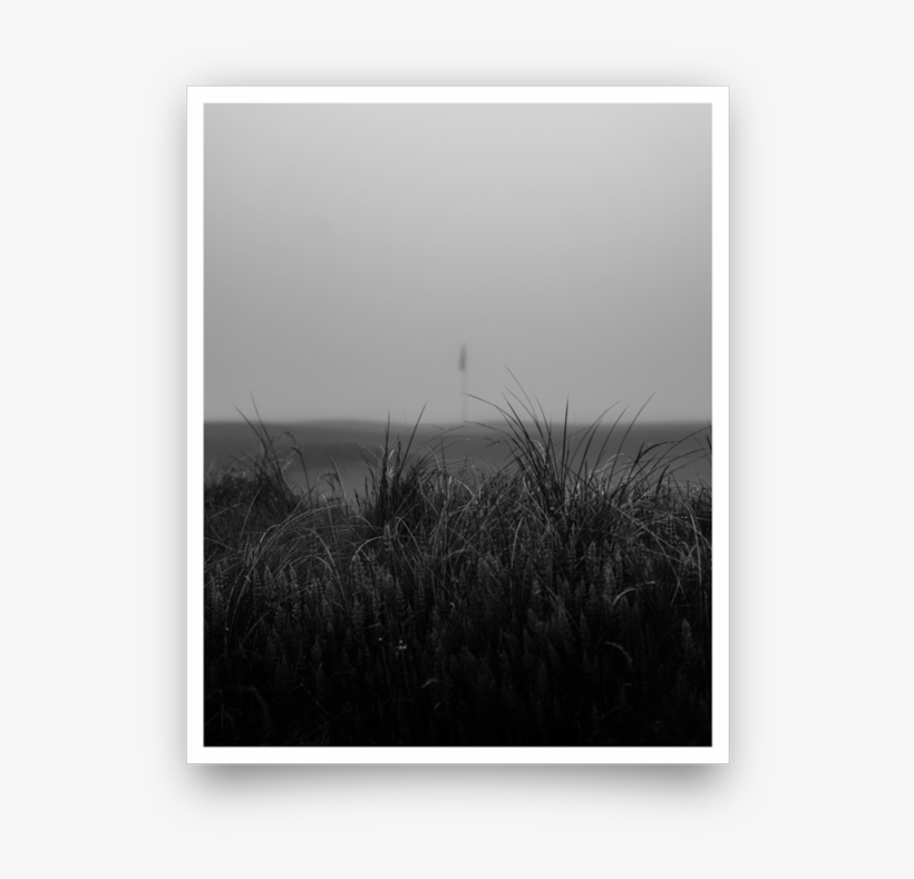 Fog Fescue Giclée Print - Monochrome, transparent png