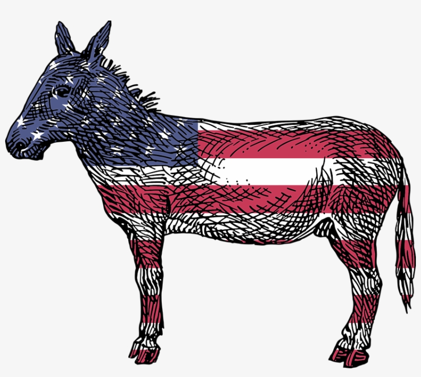 Democratic Party Victories - Reasons To Vote For Democrats A Comprehensive Guide, transparent png