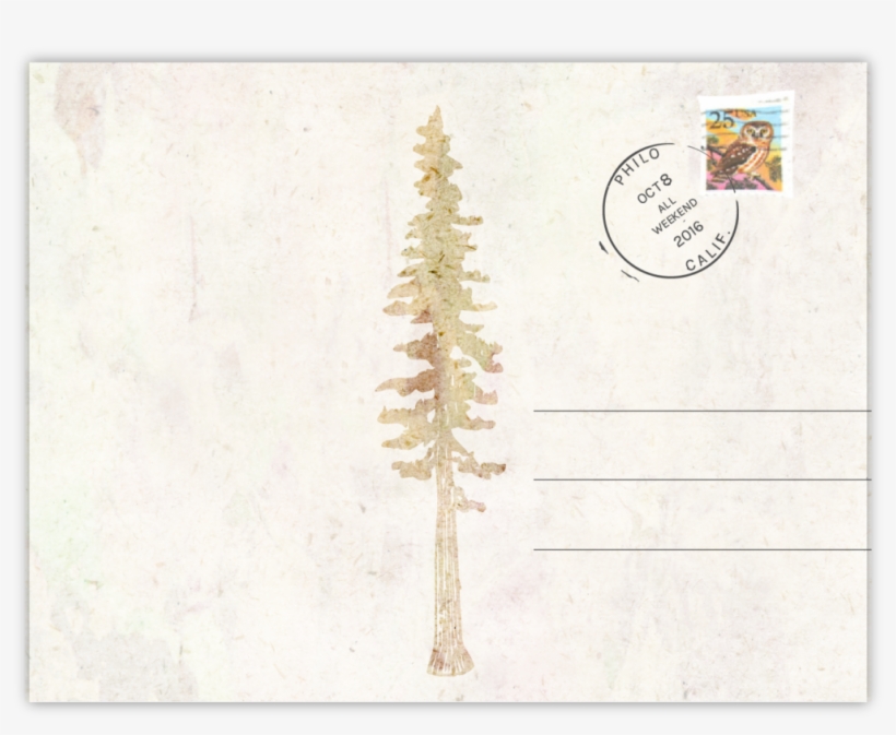 Postcard Back Drop Shadow - Paper, transparent png