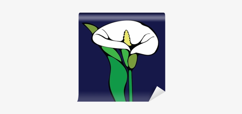 Drawing, transparent png