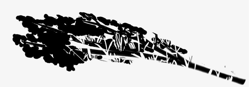 Bg Tree Shadow 2 - Calligraphy, transparent png