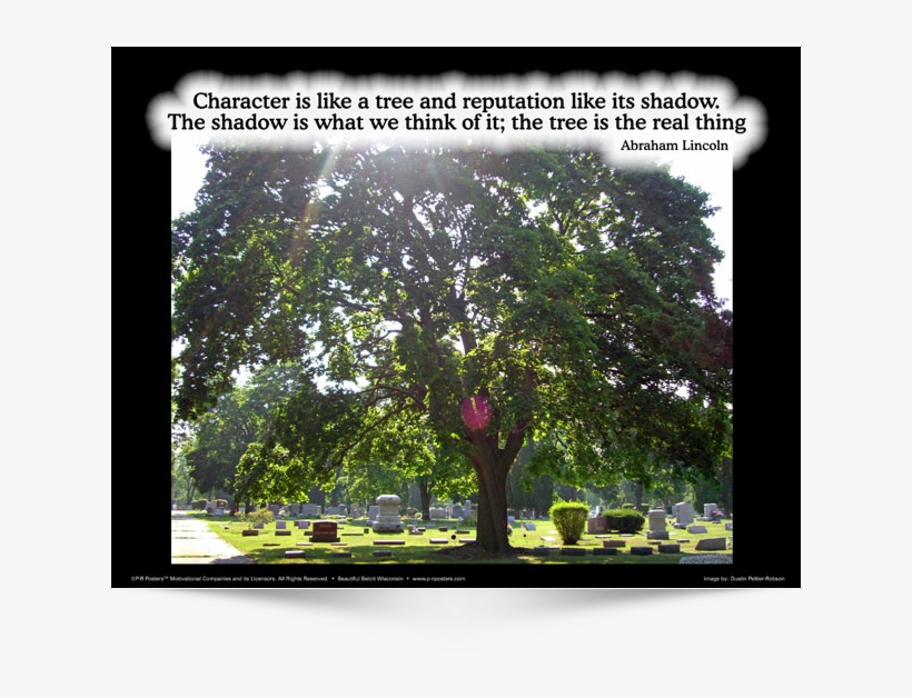 Character Is Like A Tree - California Live Oak, transparent png