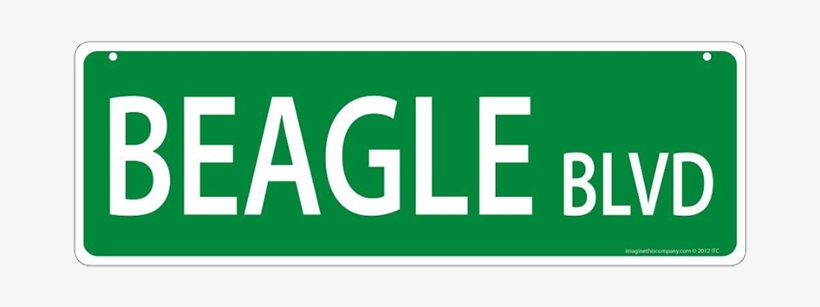 Imagine This Company's Beagle Street Sign - Plastic Street Signs Basset Blvd Basset Hound Dogs, transparent png