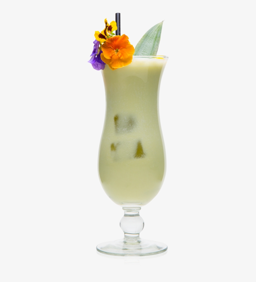 Leaner Colada - Primula, transparent png
