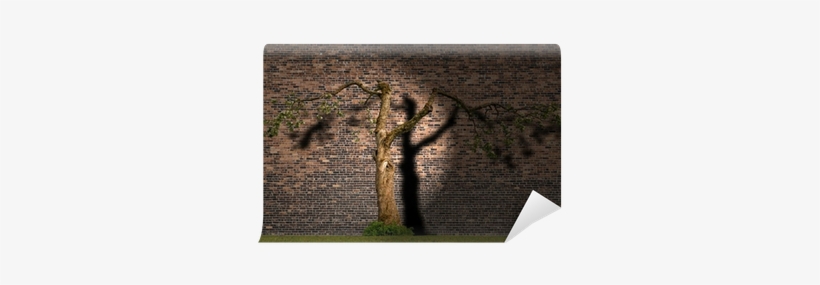 Blossoming Apple Tree With Shadow Wall Mural • Pixers® - Apple, transparent png