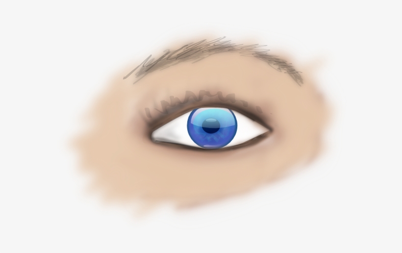 Eye, Iris, Blue, Face, Human, Looking - Human Eye Art Png, transparent png