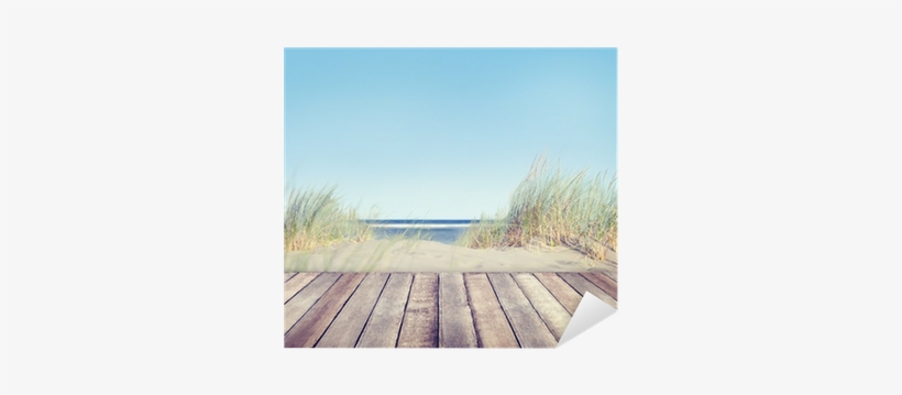 Oasis Journal 2017 [book], transparent png
