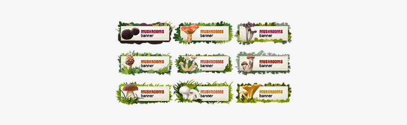 Set Of Delicious Mushroom Vector Banners - Mushroom, transparent png