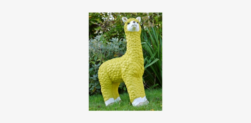 Liv The Llama - Llama, transparent png