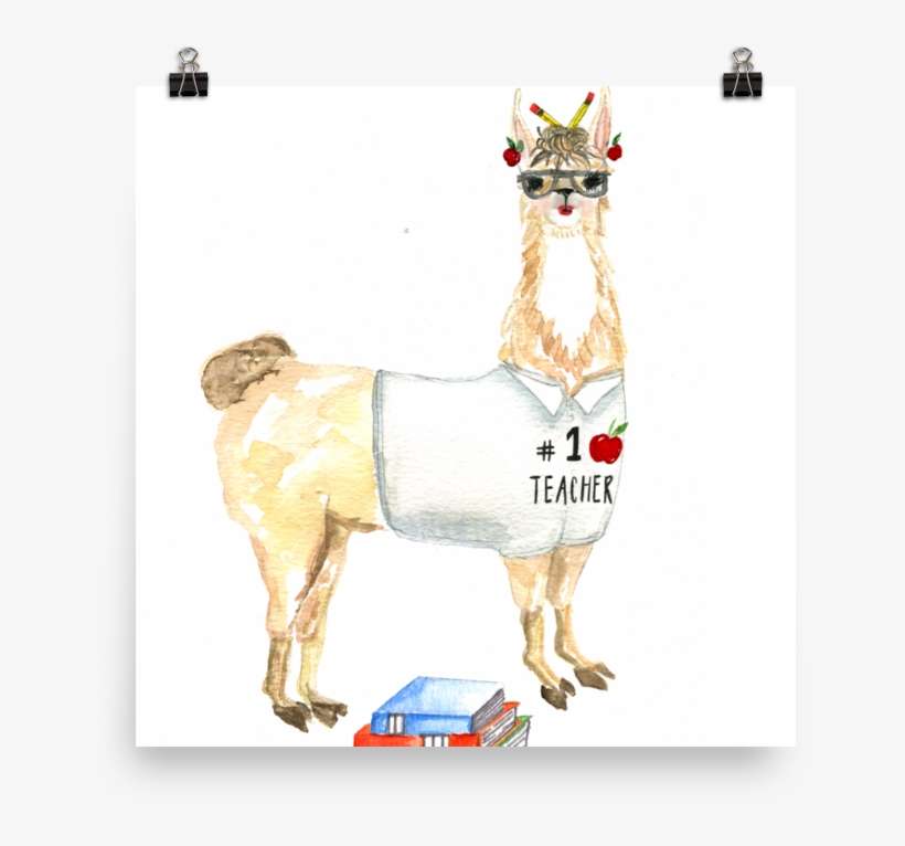Teacher Llama Solo Poster - Llama Teacher, transparent png