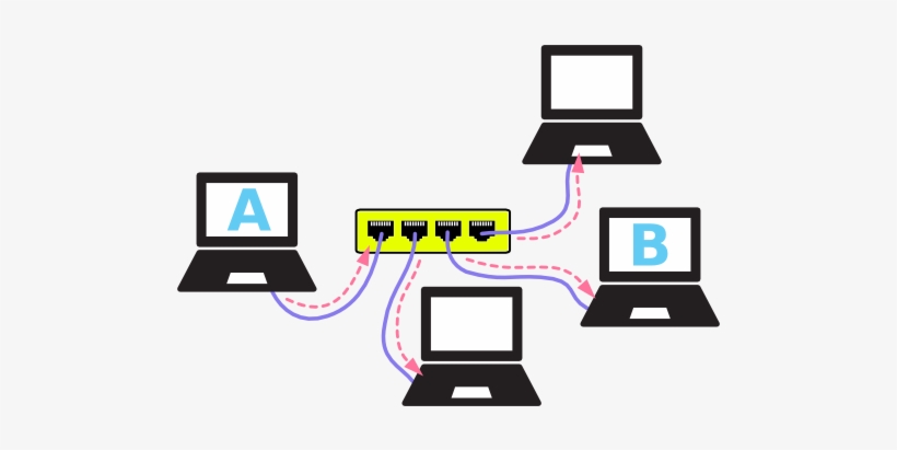 A Network Using A Hub Can Slow Down If Many Computers - Working Of Network Switch, transparent png