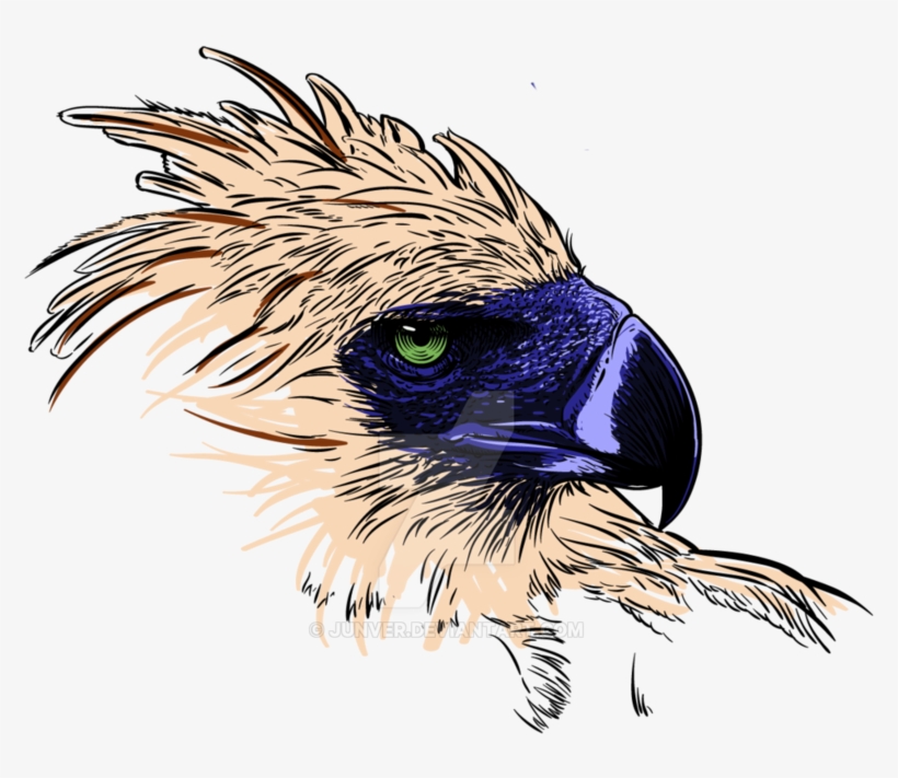 Philippine Eagle - Philippine Eagle Logo Png, transparent png