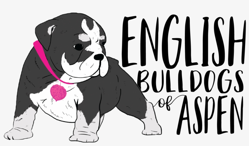 Renascence Bulldogge, transparent png