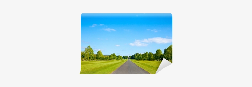 Photograph, transparent png