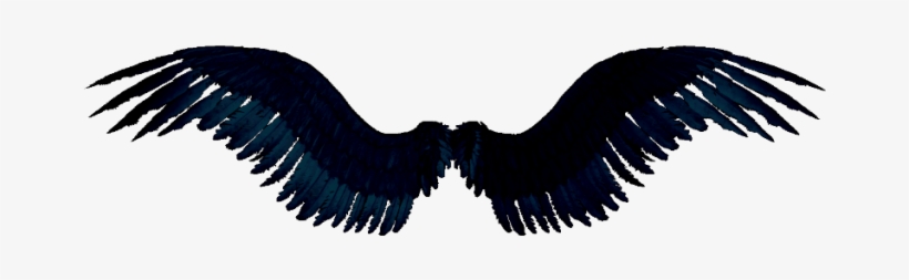 Wingsmini Zpsa2d4f8fc - Eagle, transparent png