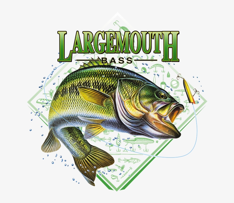 Fishing, Fishing T-shirts Or Fishing Sweatshirts, Largemouth, transparent png