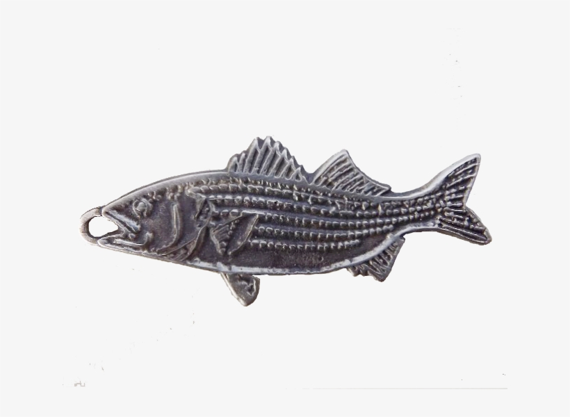 Bronze Striped Bass Pendant - Striped Bass, transparent png