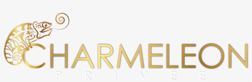 Magellan Investigations Llc, transparent png