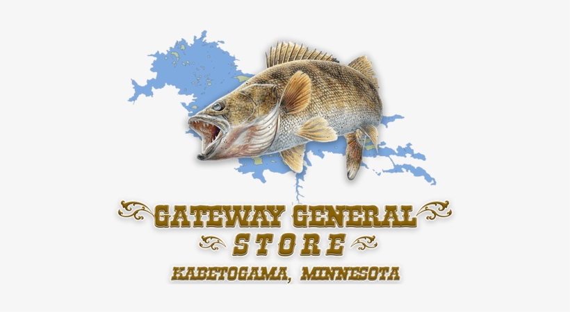 Walleye Fish, transparent png
