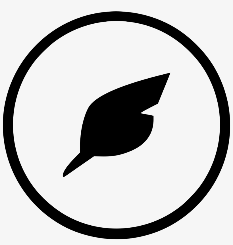 Feather Write Tool Pen Draw Instrument Comments - Portable This Life Of Illusion, transparent png