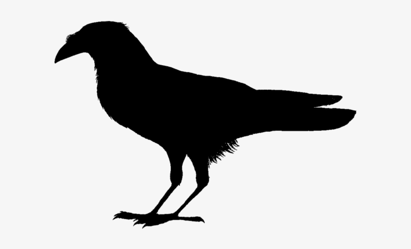 320 × 240 Pixels - Bird Clip Art Black, transparent png