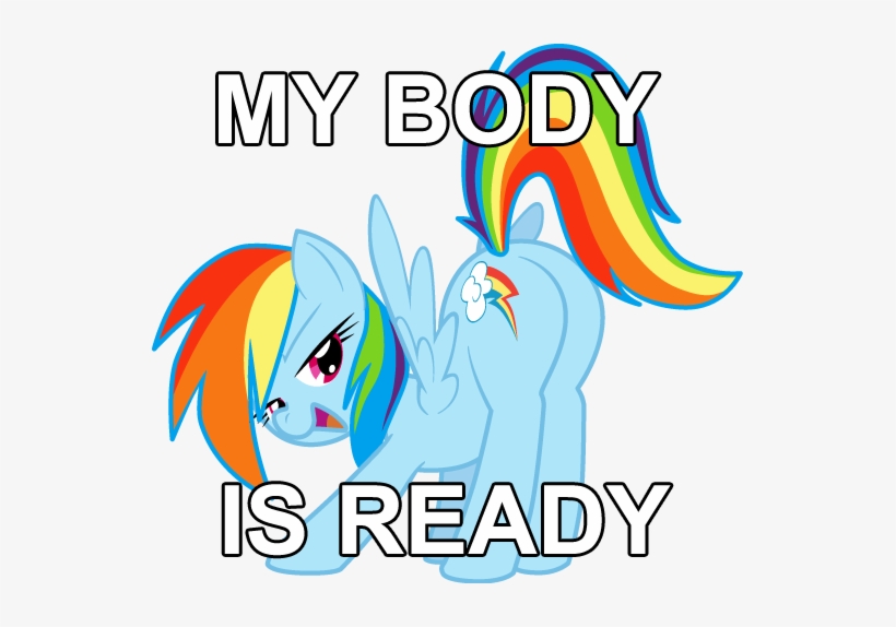 My Bo Is Ready Rainbow Dash Text Vertebrate Clip Art - Cumming In Rainbow Dash, transparent png