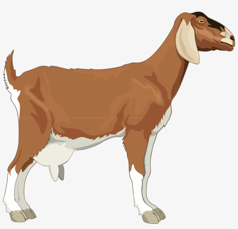 This Free Clipart Png Design Of Goat Clipart, transparent png