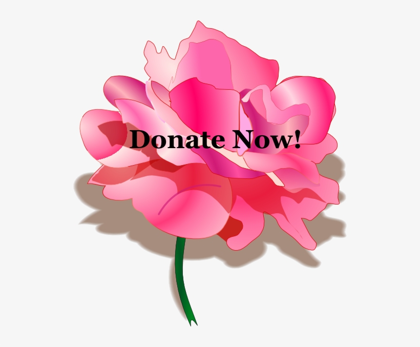 Rose Clip Art, transparent png