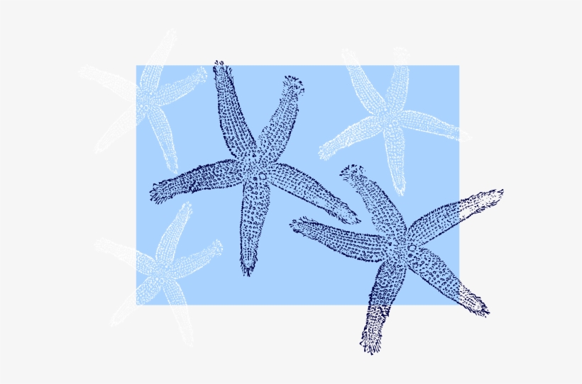 Star Fish Background Svg Clip Arts 600 X 462 Px, transparent png
