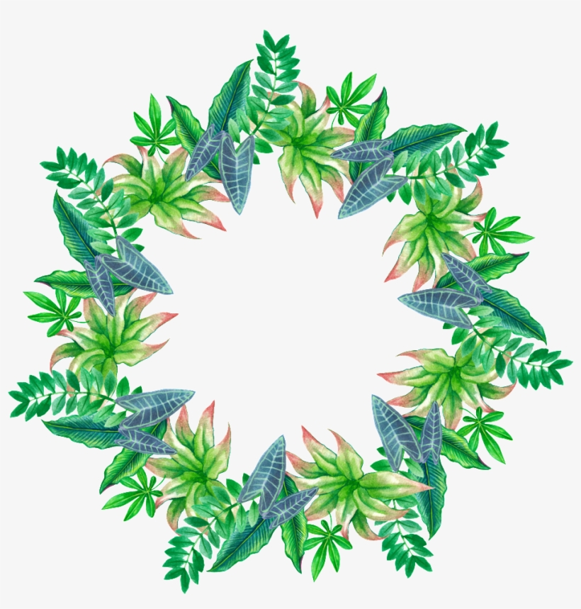 Hand Painted Tropical Leaves Stars Ring Png Transparent - Portable Network Graphics, transparent png