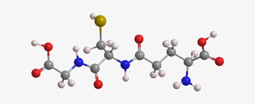 Glutathione - American Chemical Society, transparent png