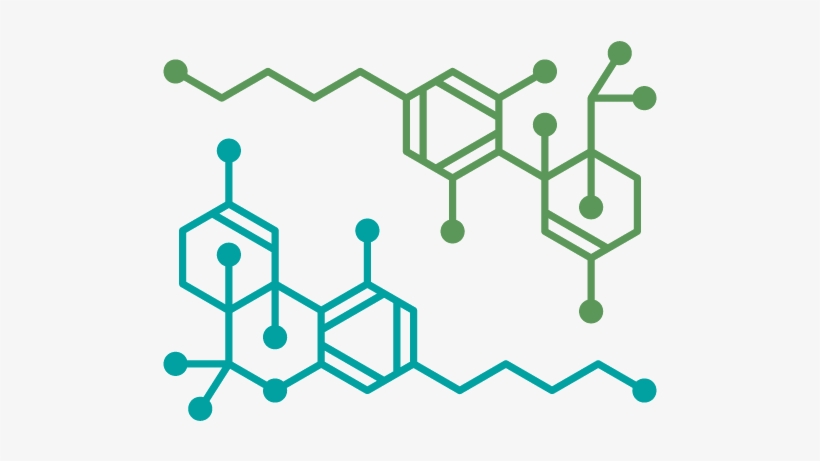 Faq - Cannabis Health Logo, transparent png