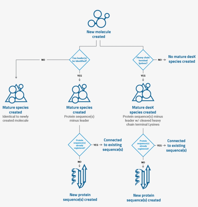 Antibodies And Protein Sequences - Diagram, transparent png