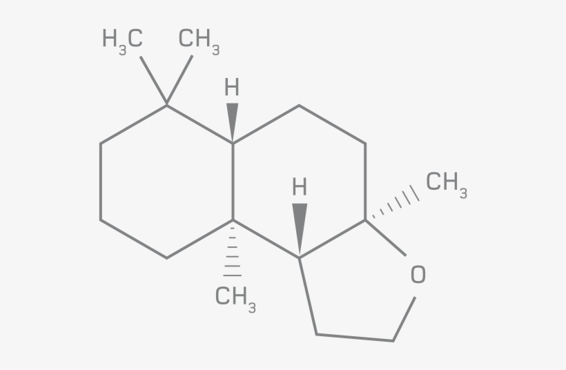 Escentric Molecules 01 Formula - Eau De Toilette, transparent png