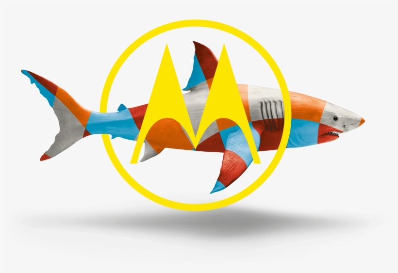 Hellomoto - Illustration, transparent png